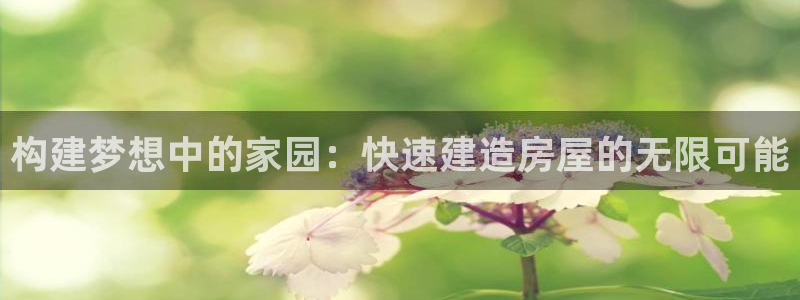 保定威九网络科技有限公司招聘：构建梦想中的家园：快速建造房屋的无限可能