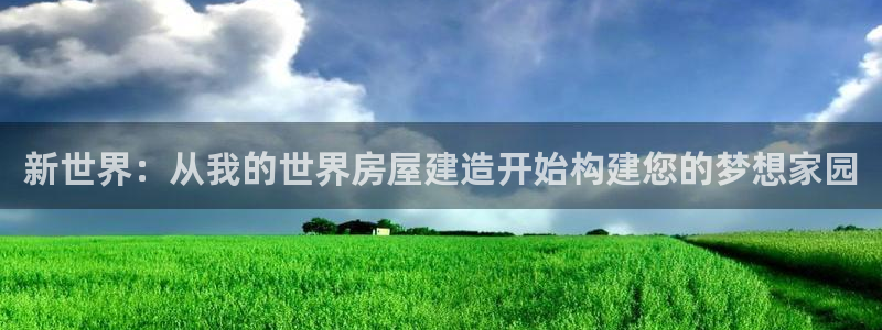 威九国际APP那个地方：新世界：从我的世界房屋建造开始构建您的梦想家园