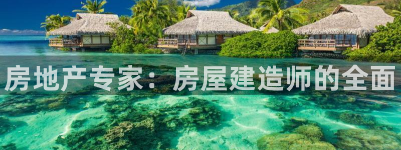 威九国际app网站官网：房地产专家：房屋建造师的全面