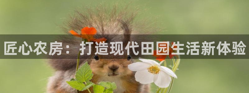 威九国际网站进入客服中心怎么退出：匠心农房：打造现代田园生活新体验