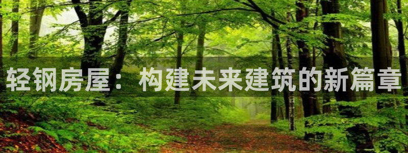 威九国际78mb42：轻钢房屋：构建未来建筑的新篇章