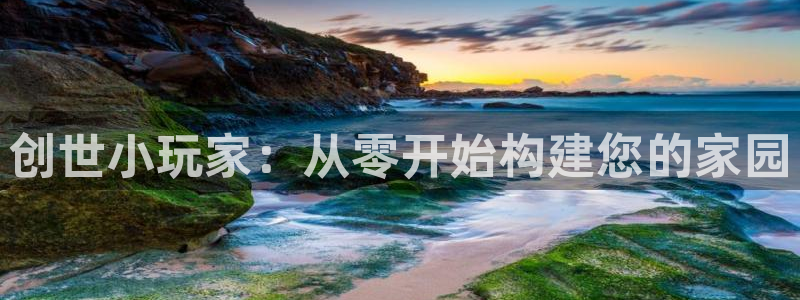威九国际网站更新：创世小玩家：从零开始构建您的家园