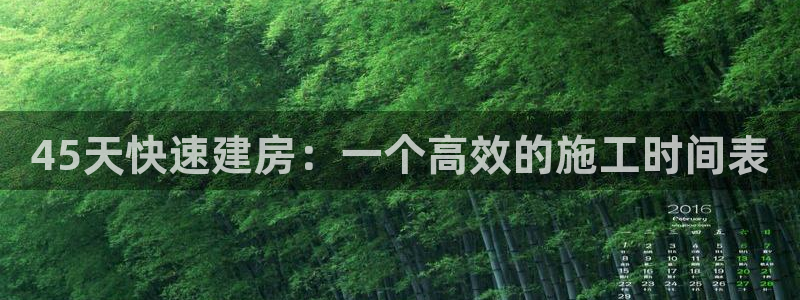 威九国际MM：45天快速建房：一个高效的施工时间表