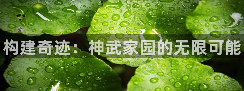 威九国际女演员名单介绍：构建奇迹：神武家园的无限可能