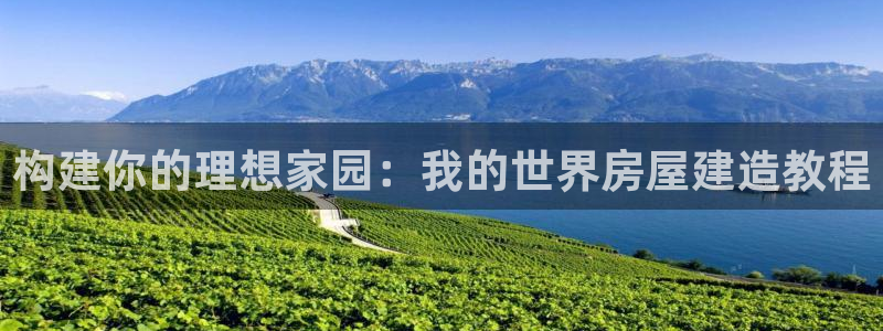 威九国际MV：构建你的理想家园：我的世界房屋建造教程