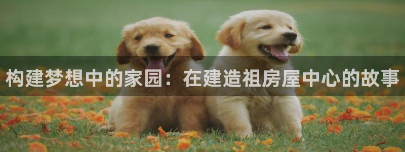 威九国际哪国的：构建梦想中的家园：在建造祖房屋中心的故事
