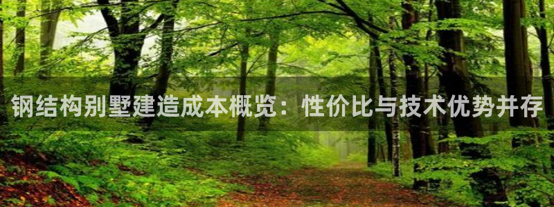 威九国际66m66成长模式免费：钢结构别墅建造成本概览：性价比与技术优势并存