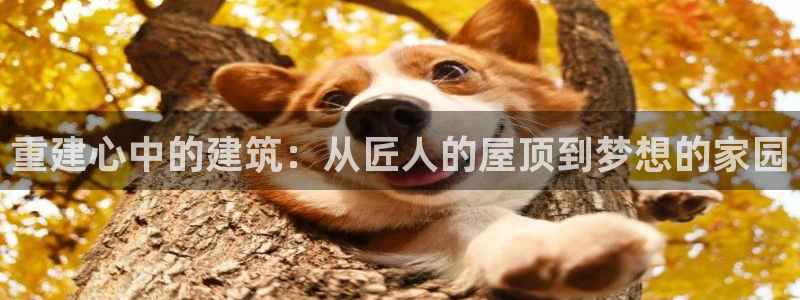 威九国际网站进入产品中心怎么进：重建心中的建筑：从匠人的屋顶到梦想的家园