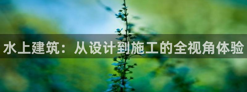 威九国际h5：水上建筑：从设计到施工的全视角体验