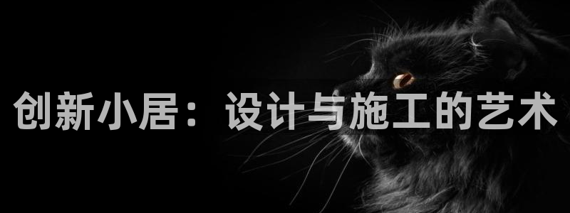 威九国际高清：创新小居：设计与施工的艺术