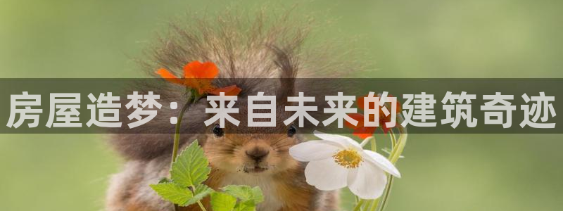 威九国际app网站安全吗：房屋造梦：来自未来的建筑奇迹
