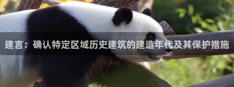 威九国际78mob官网版：建言：确认特定区域历史建筑的建造年代及其保护措施