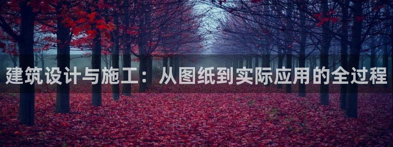 威九国际v8：建筑设计与施工：从图纸到实际应用的全过程