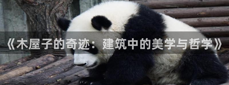 威九国际免费：《木屋子的奇迹：建筑中的美学与哲学》