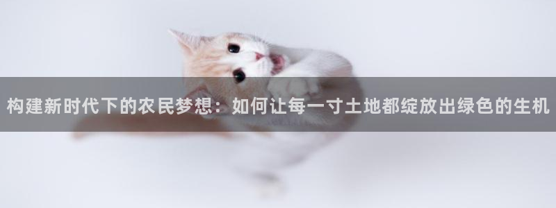 威九国际集团66m一6在线