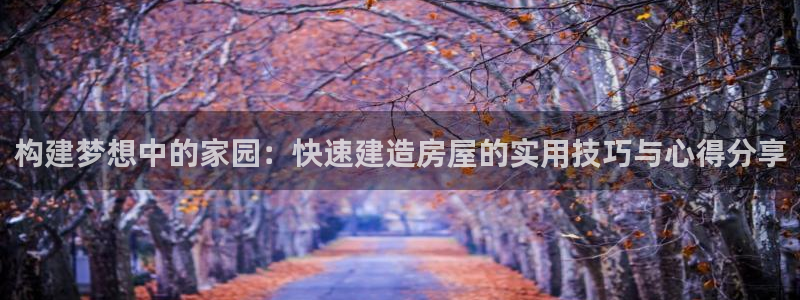 78mppt威九国际：构建梦想中的家园：快速建造房屋的实用技巧与心得分享