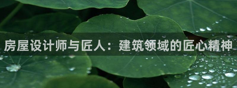 威九国际在线平台怎么样啊：房屋设计师与匠人：建筑领域的匠心精神