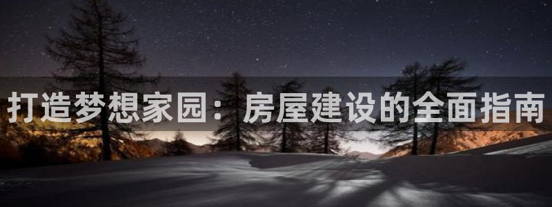 威九国际app客服电话：打造梦想家园：房屋建设的全面指南