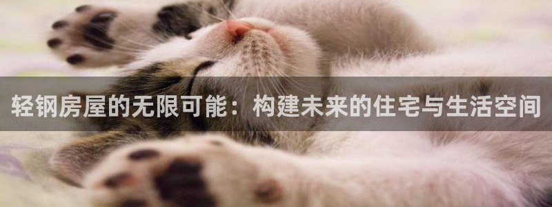 威九国际：轻钢房屋的无限可能：构建未来的住宅与生活空间
