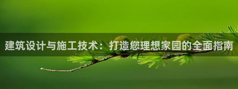 威九国际v96bet下载：建筑设计与施工技术：打造您理想家园的全面指南