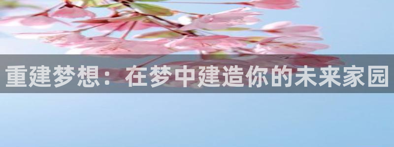 威九国际黑钱：重建梦想：在梦中建造你的未来家园