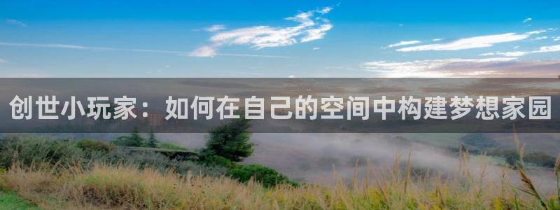 保定威九网络科技有限公司招聘：创世小玩家：如何在自己的空间中构建梦想家园