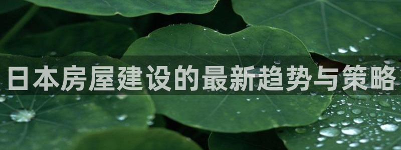 威九国际游戏入口