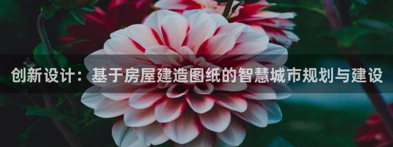 威九国际网站为什么不禁止:创新设计:基于房屋建造图纸的智慧城市规划与建设