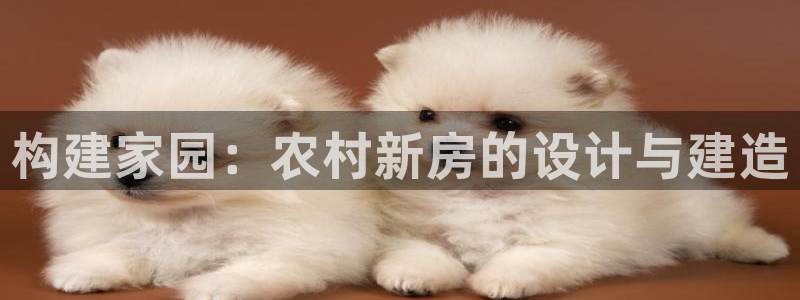 威九国际客服电话是多少:构建家园:农村新房的设计与建造