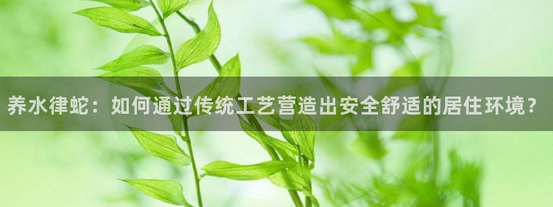 威九国际的金融服务:养水律蛇:如何通过传统工艺营造出安全舒适的居住环境?