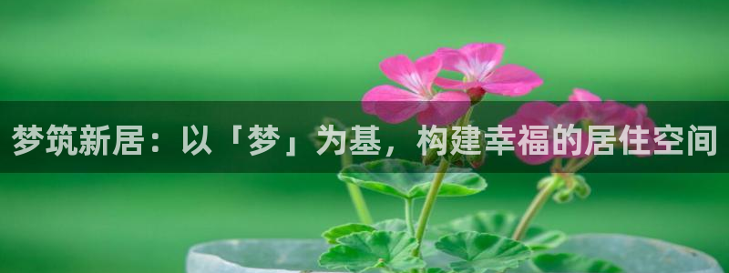 威九国际66在线:梦筑新居:以「梦」为基,构建幸福的居住空间