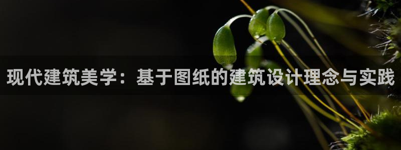 保定威九网络科技有限公司招聘:现代建筑美学:基于图纸的建筑设计理念与实践
