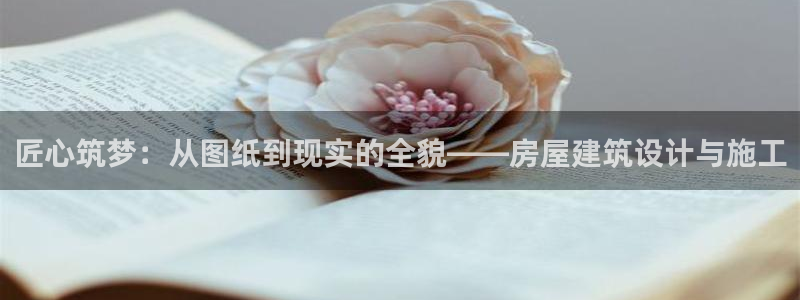 威九国际ft:匠心筑梦:从图纸到现实的全貌——房屋建筑设计与施工