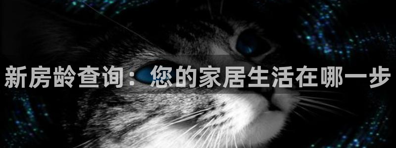 威九国际8ⅹ8x：新房龄查询：您的家居生活在哪一步