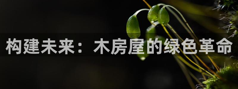 威九国际女演员好漂亮：构建未来：木房屋的绿色革命