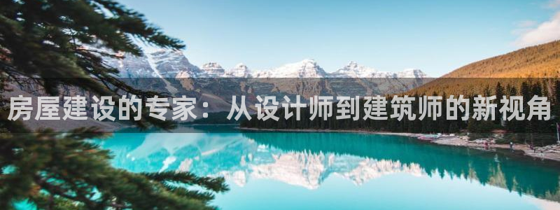 威九国际APP客服：房屋建设的专家：从设计师到建筑师的新视角