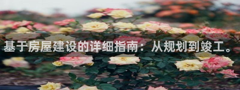 威九国际APP入口：基于房屋建设的详细指南：从规划到竣工。