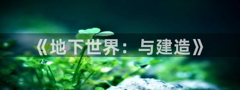 威九国际网站入口地址在哪里：《地下世界：与建造》