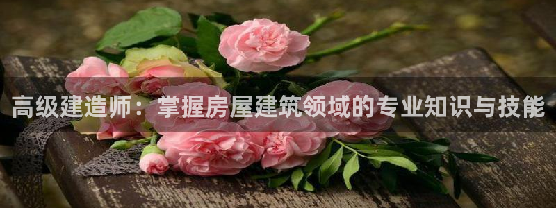 威九国际78mob游戏说明：高级建造师：掌握房屋建筑领域的专业知识与技能