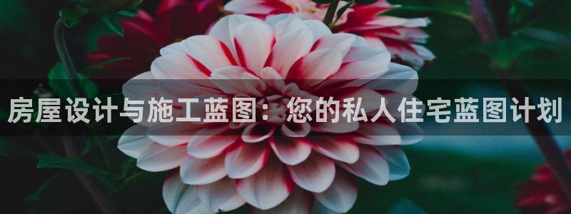 威九国际安全吗的认证团队：房屋设计与施工蓝图：您的私人住宅蓝图计划