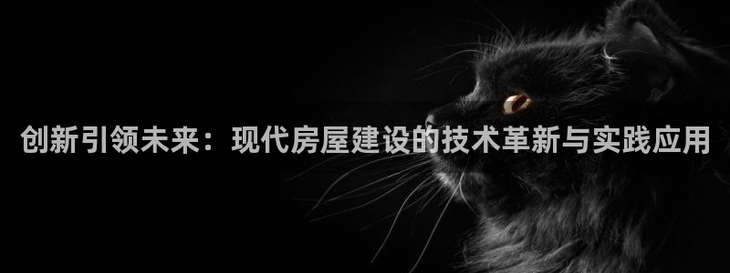 威九国际78mb42斗罗大陆：创新引领未来：现代房屋建设的技术革新与实践应用