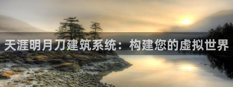 威九国际空降服务怎么样：天涯明月刀建筑系统：构建您的虚拟世界