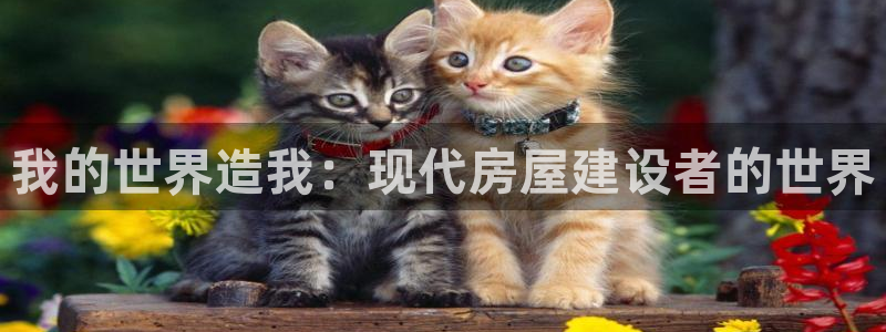 威九国际网站入口官网首页下载：我的世界造我：现代房屋建设者的世界
