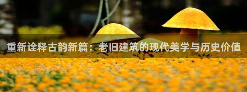 威九国际电影2022年9月月：重新诠释古韵新篇：老旧建筑的现代美学与历史价值