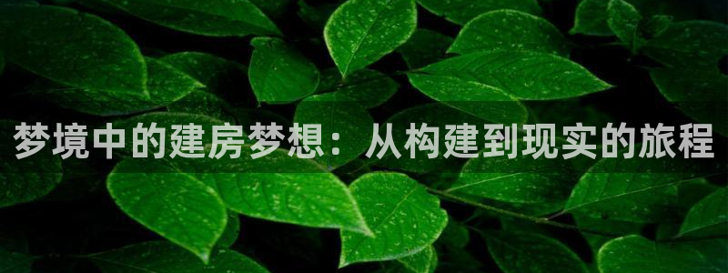 威九国际官网登录入口网址：梦境中的建房梦想：从构建到现实的旅程