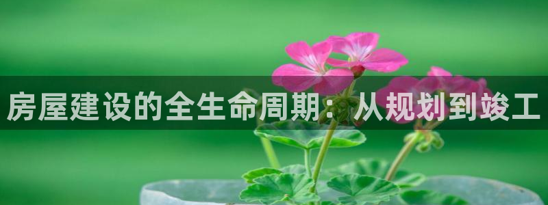 威九国际游戏入口：房屋建设的全生命周期：从规划到竣工