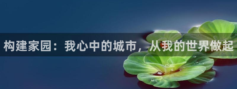 威九国际客服电话人工服务：构建家园：我心中的城市，从我的世界做起