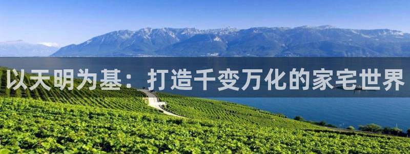 威九国际电子有限公司