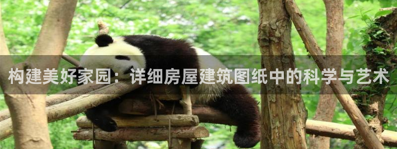 威九国际app入口在哪：构建美好家园：详细房屋建筑图纸中的科学与艺术