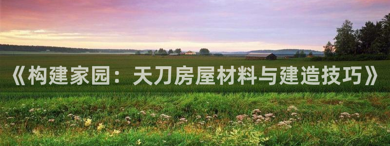 威九国际真人游戏：《构建家园：天刀房屋材料与建造技巧》
